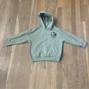 Boys Size 6 Sage Green T-Rex Hoodie